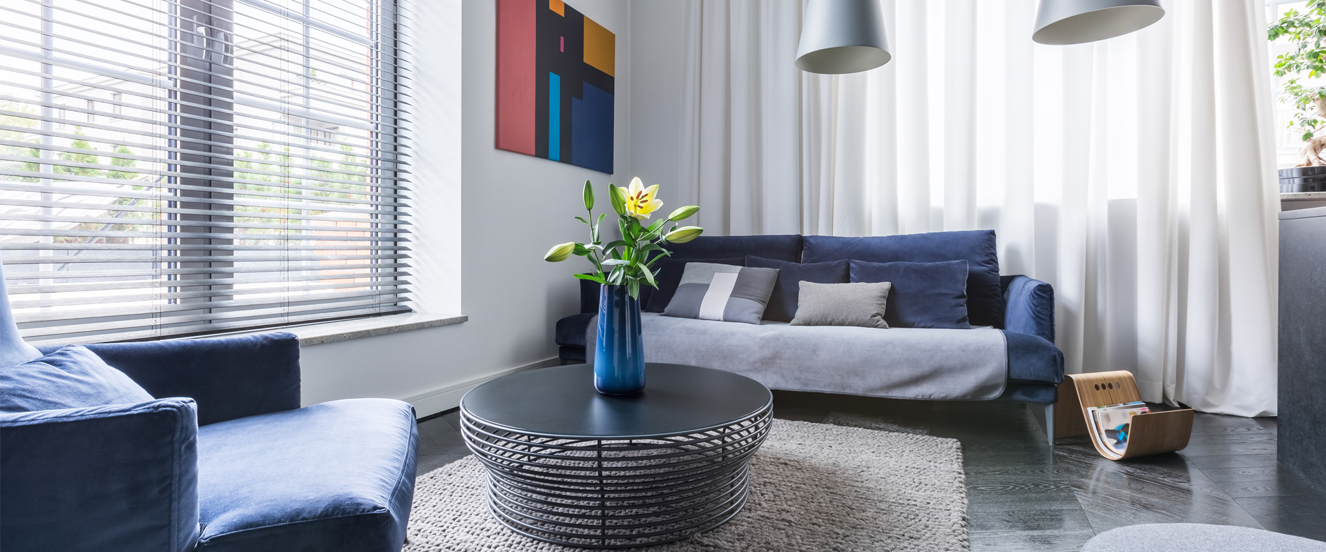 Living Room with Window Blinds